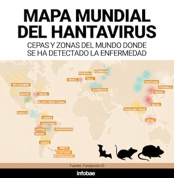 El hantavirus Andes es la única cepa conocida capaz de transmitirse entre personas, pero requiere contacto muy estrecho para propagarse.