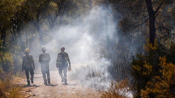 La Junta de Castilla y León desmantela las torres de vigilancia forestal en Segovia y las sustituye por “casetas de obra”: “Ha afectado en el incendio de Brieva”