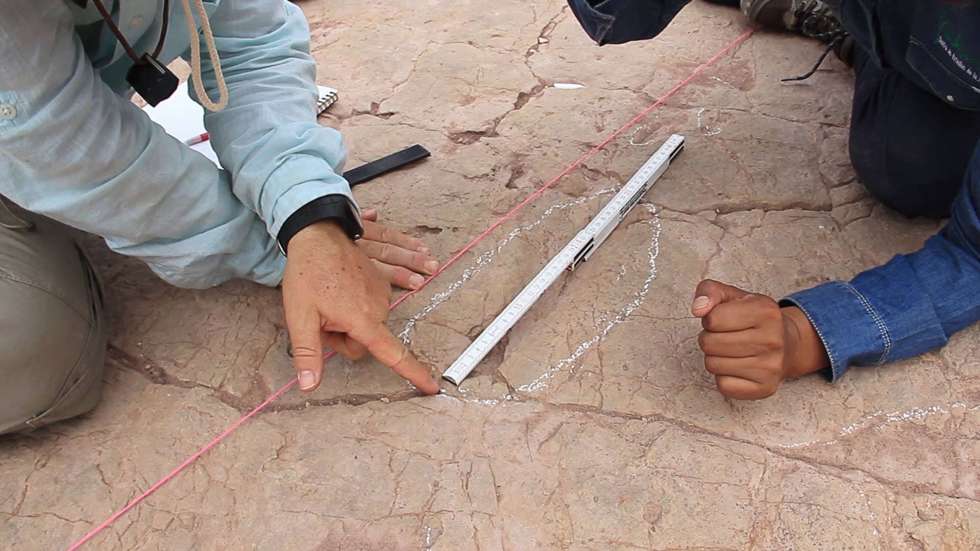 El equipo utilizó técnicas avanzadas como escaneos 3D, fotogrametría y modelado digital para documentar la diversidad de rastros. (Universidad de Loma Linda)