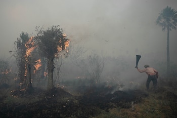 Un productor combate el fuego
