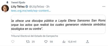 La senadora publicó la disculpa