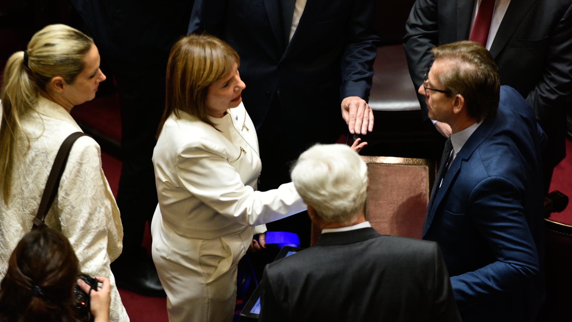 La jefa libertaria en la Cámara alta, Patricia Bullrich, junto a su par de la Unión Cívica Radical, Eduardo Vischi (Adrián Escandar)