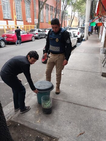 Internautas señalaron que podría tratarse