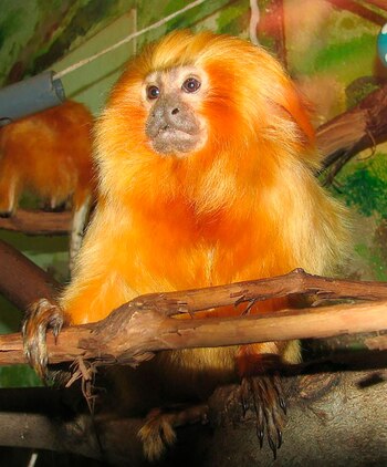 En 2018, una epidemia de