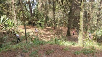 Robo masivo: asaltaron a 15