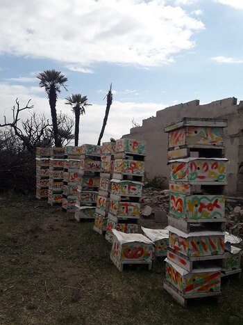 Como consecuencia del incendio, Gustavo