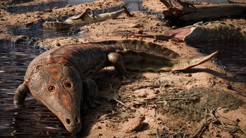 Así lucía el Kwatisuchus rosai, un anfibio que sobrevivió a la mayor extinción masiva de la tierra. (Marcio L. Castro/UNIPAMPA)
Kwatisuchus, Brasil, dinosaurios, anfibios, prehistoria, descubrimiento, Rusia, animales, mascota