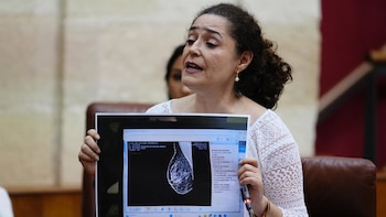 El TSJA archiva la denuncia