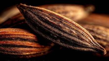 Granos marrones de alcaravea, especia para pan, condimento herbal, semillas curativas, sabor anisado, uso gastronómico, remedio natural, hierbas aromáticas - (Imagen Ilustrativa Infobae)