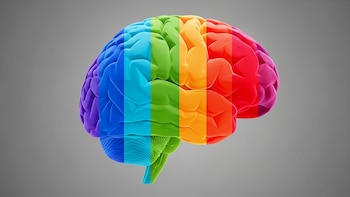 Cuáles son las cinco fases