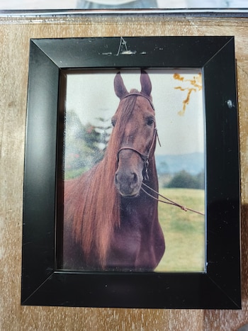 Así se veía 'Terremoto de