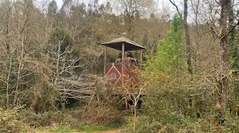 Estructura de madera con techo y base roja, rodeada de árboles y vegetación variada. Dos personas se ven dentro de la estructura.