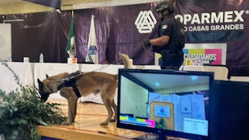 Foto: SSPE de Chihuahua