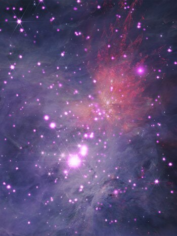 Otra foto espectacular de la Nebulosa Orión