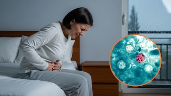Cyclospora, el parásito detrás del brote de “diarrea explosiva” en Estados Unidos: ¿qué riesgo existe en España?