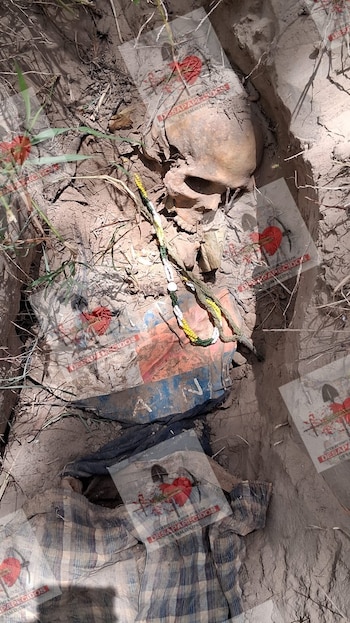 Una de las osamentas encontradas por el colectivo de búsqueda. (Crédito: Amor por los Desaparecidos en Tamaulipas)