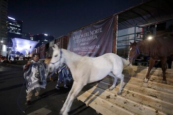 (Foto: Luis Cortés/ Infobae México)