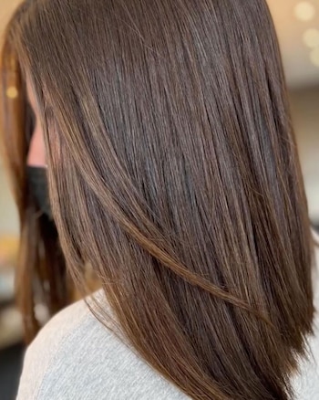 Las células madre brindan una