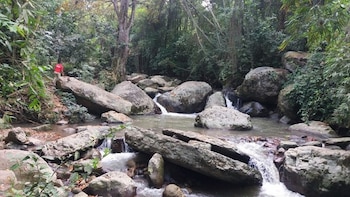 La quebrada Campos, también conocida como La Campuna, atraviesa varias veredas antes de llegar al río Calandaima - crédito Gobernación de Cundinamarca/Alcaldía Municipal de Anapoima