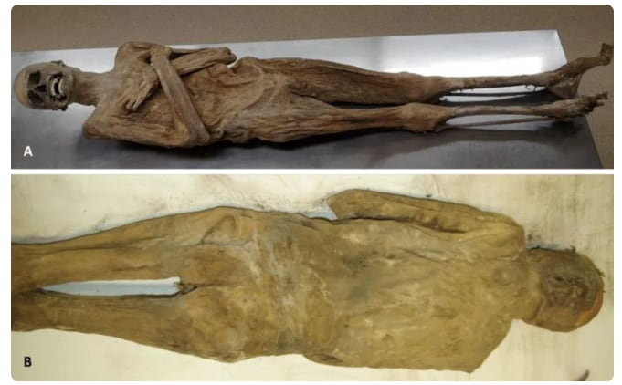 El hallazgo de la tumba de Tutmosis II en Luxor aportó claves inéditas sobre la dinastía XVIII y la arquitectura funeraria del antiguo Egipto. ( A. Nerlich)