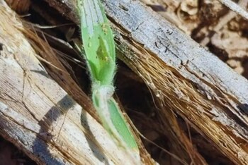 Un equipo de investigación brinda