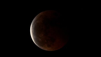 Cuál es la mejor hora