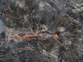 Antes de la llegada humana a América hace más de 10.000 años, el fuego era prácticamente inexistente en la Amazonía durante el Pleistoceno tardío. (REUTERS/Bruno Kelly/File Photo)