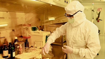 (Benjamín Chaires/Gaceta UNAM)