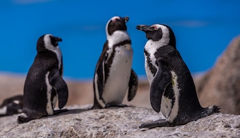 La jornada anual centra la