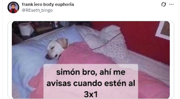 Memes Corona Capital