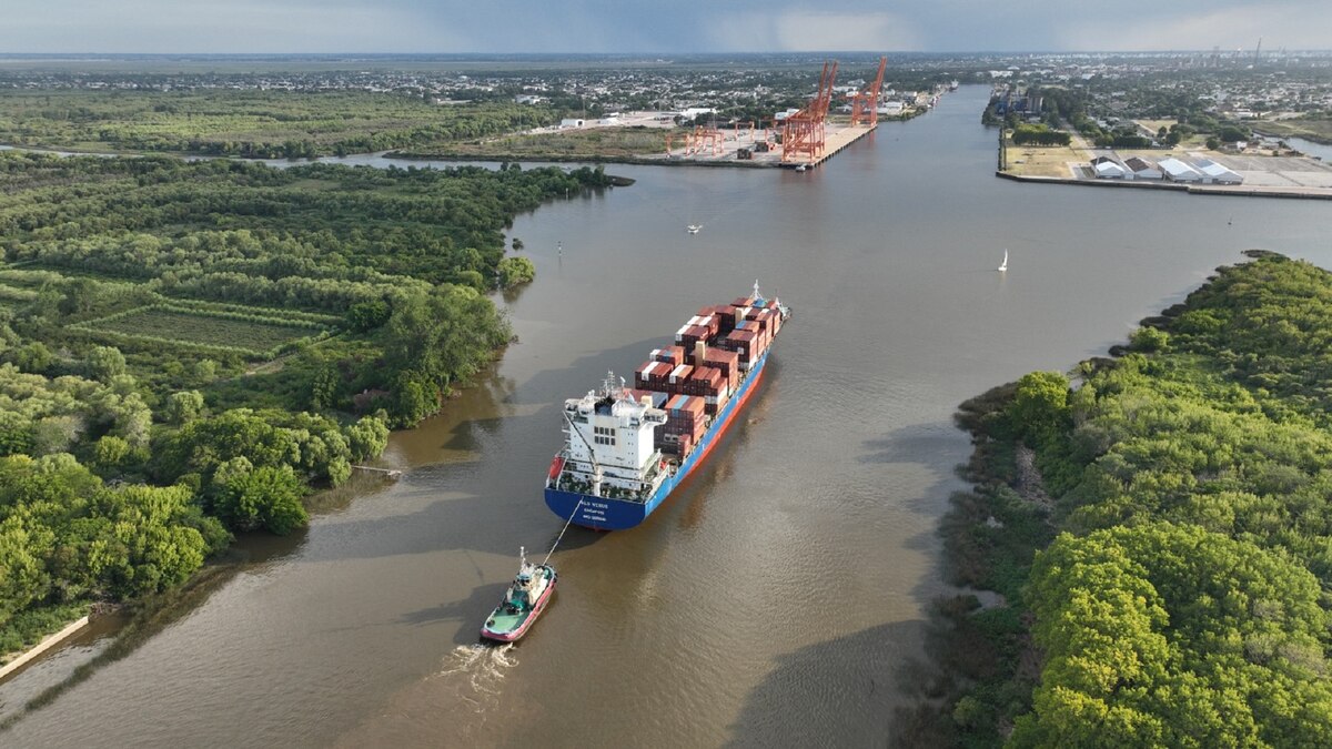 exportación