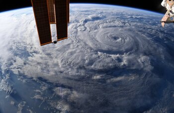 Una de las capturas de