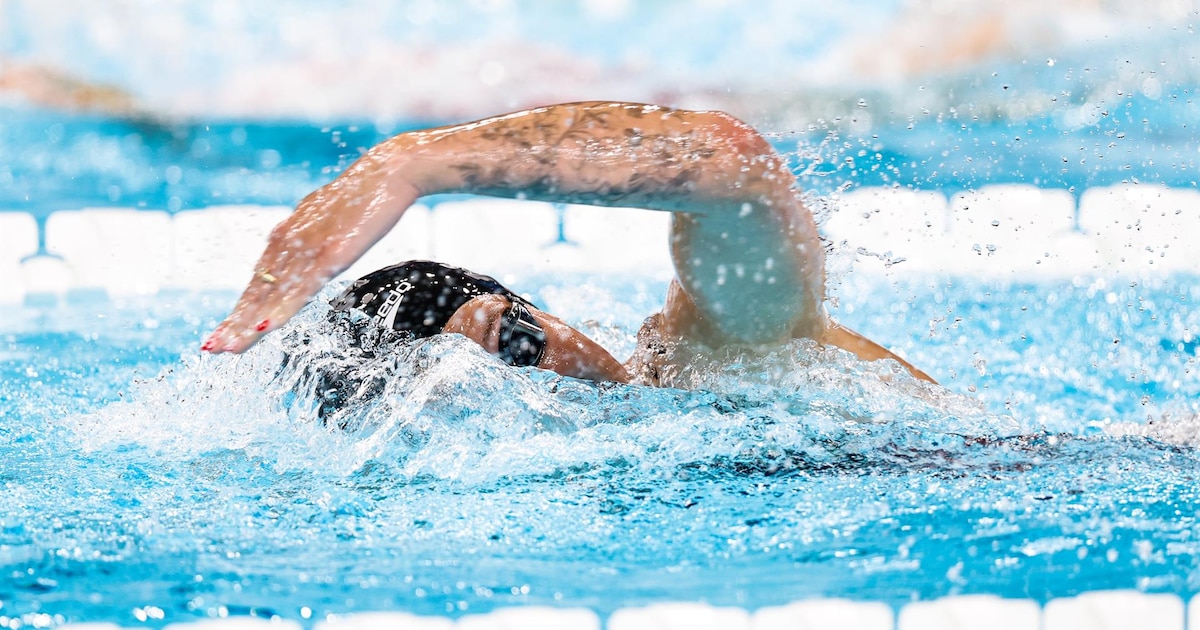Photo: infobae.com Spain's 4x100 Relay Team Shines Led by Luca Hoek at the European Swimming Championships in Paris