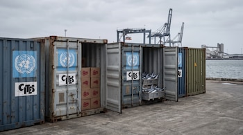 Varios contenedores de carga en un puerto, con logos de ONU y CITES. Contenedores abiertos muestran cajas con símbolos de carne y aletas de tiburón.