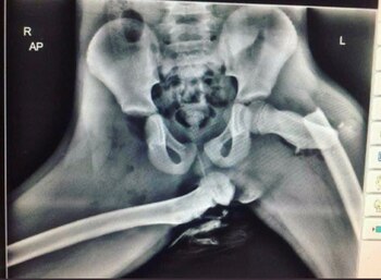 Fuente: X @VdeVeroReal