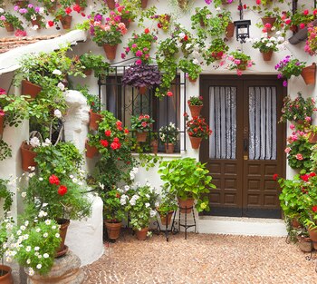 En esta fiesta, que se