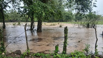 Desbordamiento de ríos por las lluvias deja incomunicadas varias comunidades de Catacamas, en Honduras