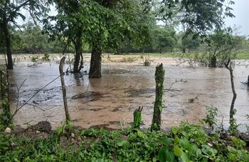 Las fuertes lluvias provocaron el desbordamiento de varios ríos en Catacamas, Olancho. La calle principal de Cuyamel permanece intransitable por el aumento del caudal del río. (Foto: Proceso Digital)