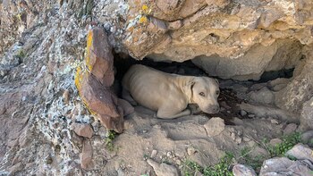 Los rescatistas desconocen durante cuánto