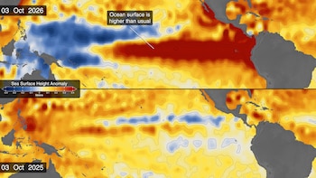 Dos mapas del océano Pacífico divididos horizontalmente con áreas en azul, amarillo y rojo junto a una escala de valores en metros