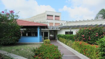 Dos adultos mayores muertos y