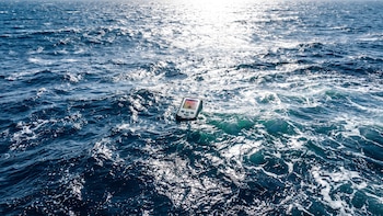 Récord de temperatura en el océano: científicos europeos alertan sobre posibles efectos extremos
