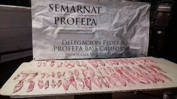 En 2016 la Semar detuvo