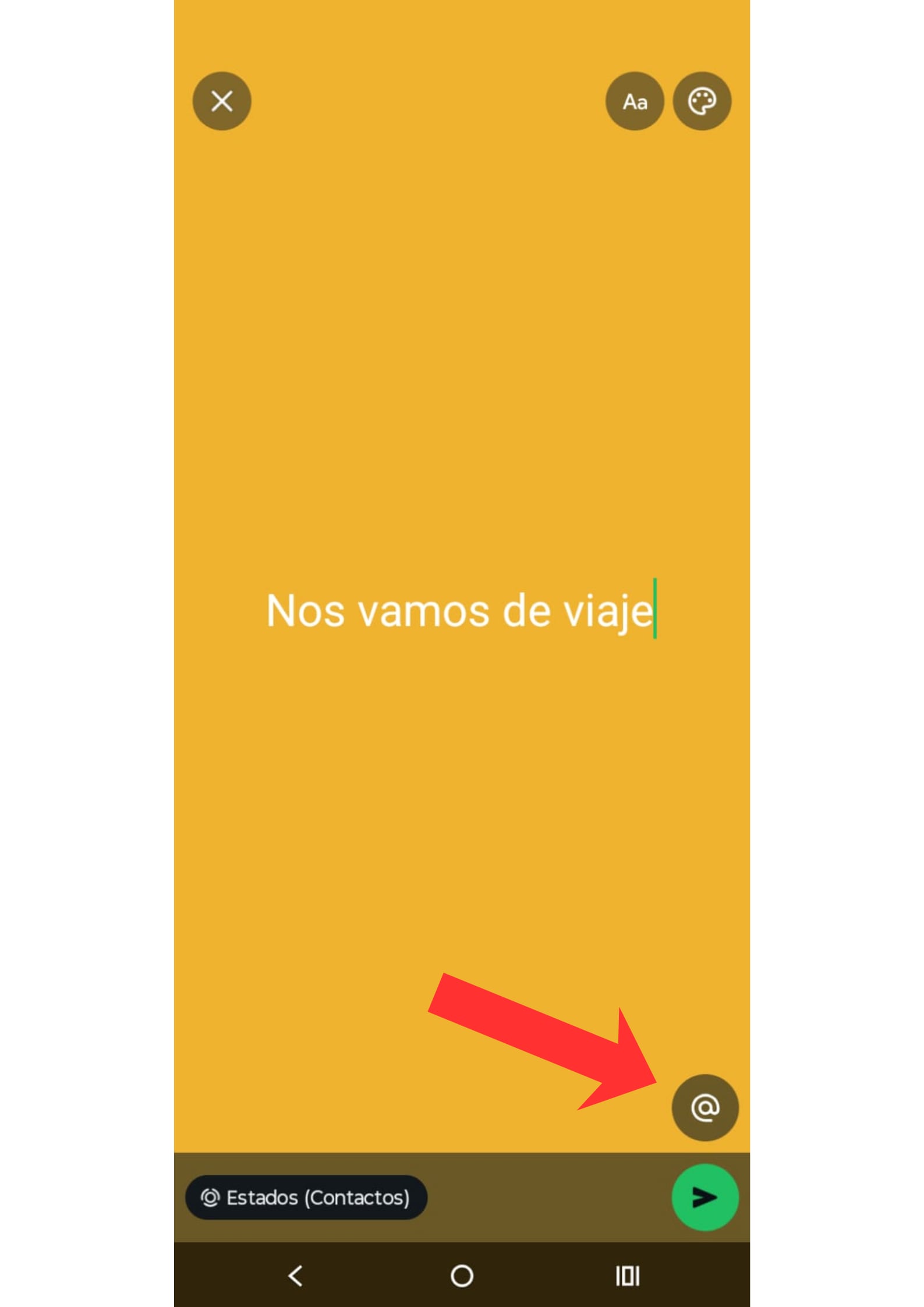 El botón @ en la esquina inferior derecha de la pantalla es la puerta de entrada para etiquetar contactos al crear un estado con foto o vídeo (Infobae Tecno)