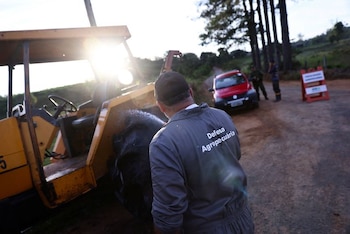 El brote de gripe aviar