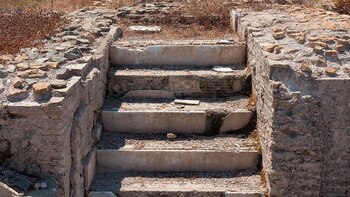 La bodega estaba rodeada de