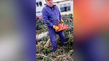 El intendente Walter Cortés encabezó la tala de pinos en Bariloche