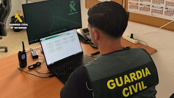Desmantela una organización dedicada al robo con fuerza en comercios de la provincia
