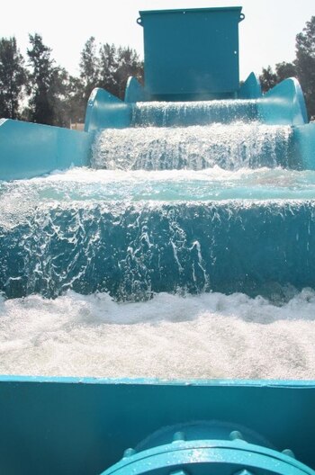 Empresas transnacionales están vinculadas al