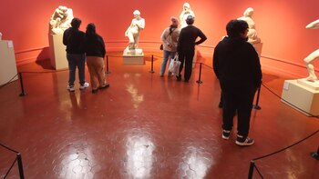 Ciudadanos podrán ingresar gratis a